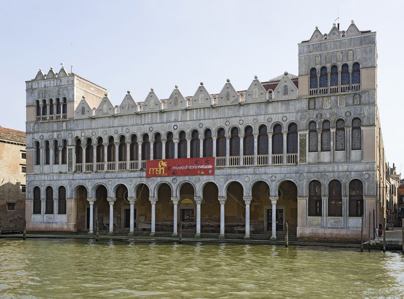 Museo di Storia Naturale Giancarlo Ligabue